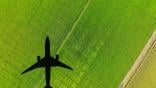shadow of an airplane flying over a green field