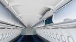 passenger overhead bins