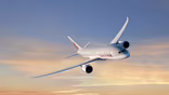 Qatar 787 aircraft