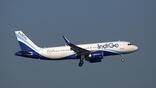 indigo a320neo