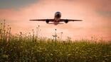 an airplane flying over a field of flowers