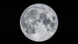 The moon