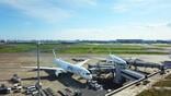 Japan Airlines aircraft at Tokyo Haneda Airport
