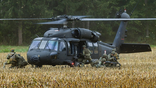 austrian black hawk
