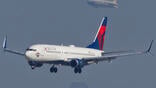 Delta 737-800