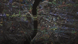 SAR image of Porto, Portugal.