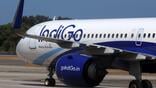 IndiGo A321neo