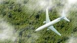 plane over jungle