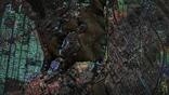 Earth observation