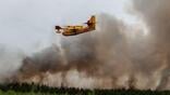 wildfires