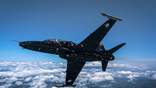 picture of hawk trainer flying