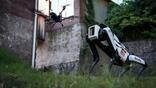 Asylon DroneDog