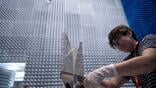 scientist working on vivaldi antenna