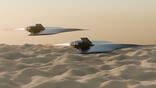 drone interceptor