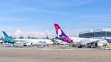 alaska and hawaiian aircraft at seattle-tacoma international airport