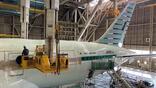 JAL 787 OWell riblet application
