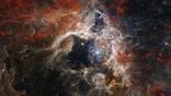NASA’s James Webb Space Telescope’s Near-Infrared Camera 