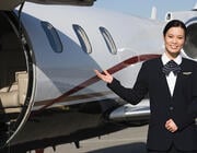 Flight Attendant