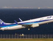 Japan domestic airliner