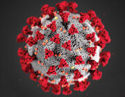 Coronavirus