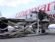 cargo
