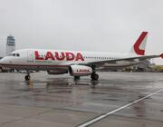 Lauda