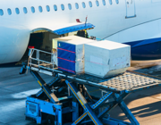 air cargo