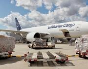 Lufthansa Cargo