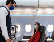 American Airlines flight attendant