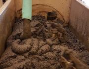SAF from sewage