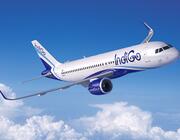 IndiGo