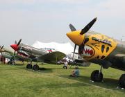  Curtiss P-40 Warhawks