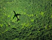 plane over trees