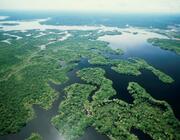 Amazon river