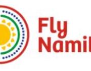 FlyNamibia logo