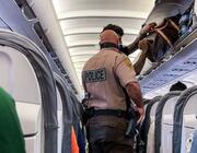 unruly passenger