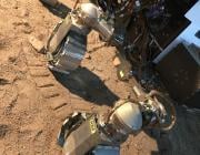 Exomars Amalia rover