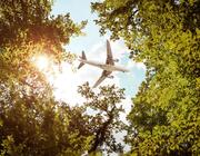 plane flying over trees