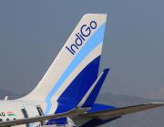 Indigo tail