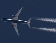 787
