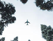 aircraft and trees