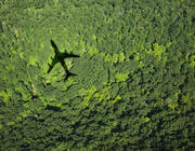 plane shadow over forest