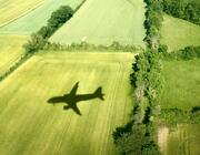 airplane over trees