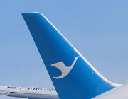 Xiamen Air tail Boeing 787