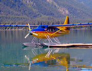 DHC-3