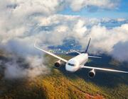 airplane over trees