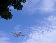 plane flying over trees