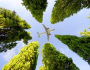 Plane above trees