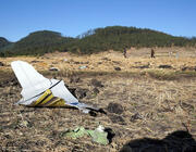 Ethiopian Flight 302 crash debris