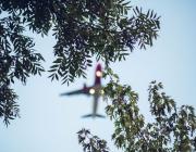 airplane over trees